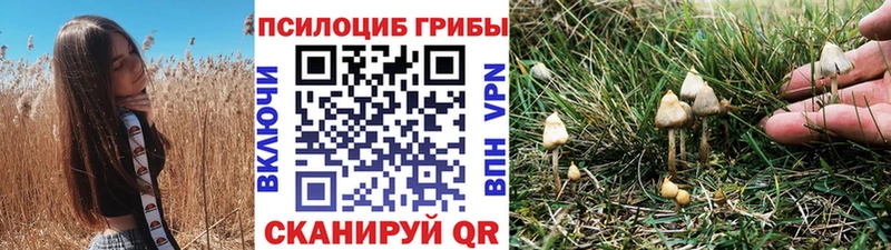 Купить закладки  Лысьва  Псилоцибиновые грибы Psilocybe 